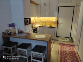 Apartman Bjelašnica